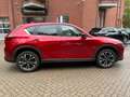 Mazda CX-5 SKYACTIV-G 194 AT Ad'vantage BEAR-LOCK Rojo - thumbnail 6