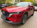 Mazda CX-5 SKYACTIV-G 194 AT Ad'vantage BEAR-LOCK Rojo - thumbnail 7