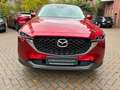 Mazda CX-5 SKYACTIV-G 194 AT Ad'vantage BEAR-LOCK Rojo - thumbnail 17
