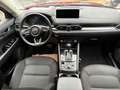 Mazda CX-5 SKYACTIV-G 194 AT Ad'vantage BEAR-LOCK Rojo - thumbnail 18