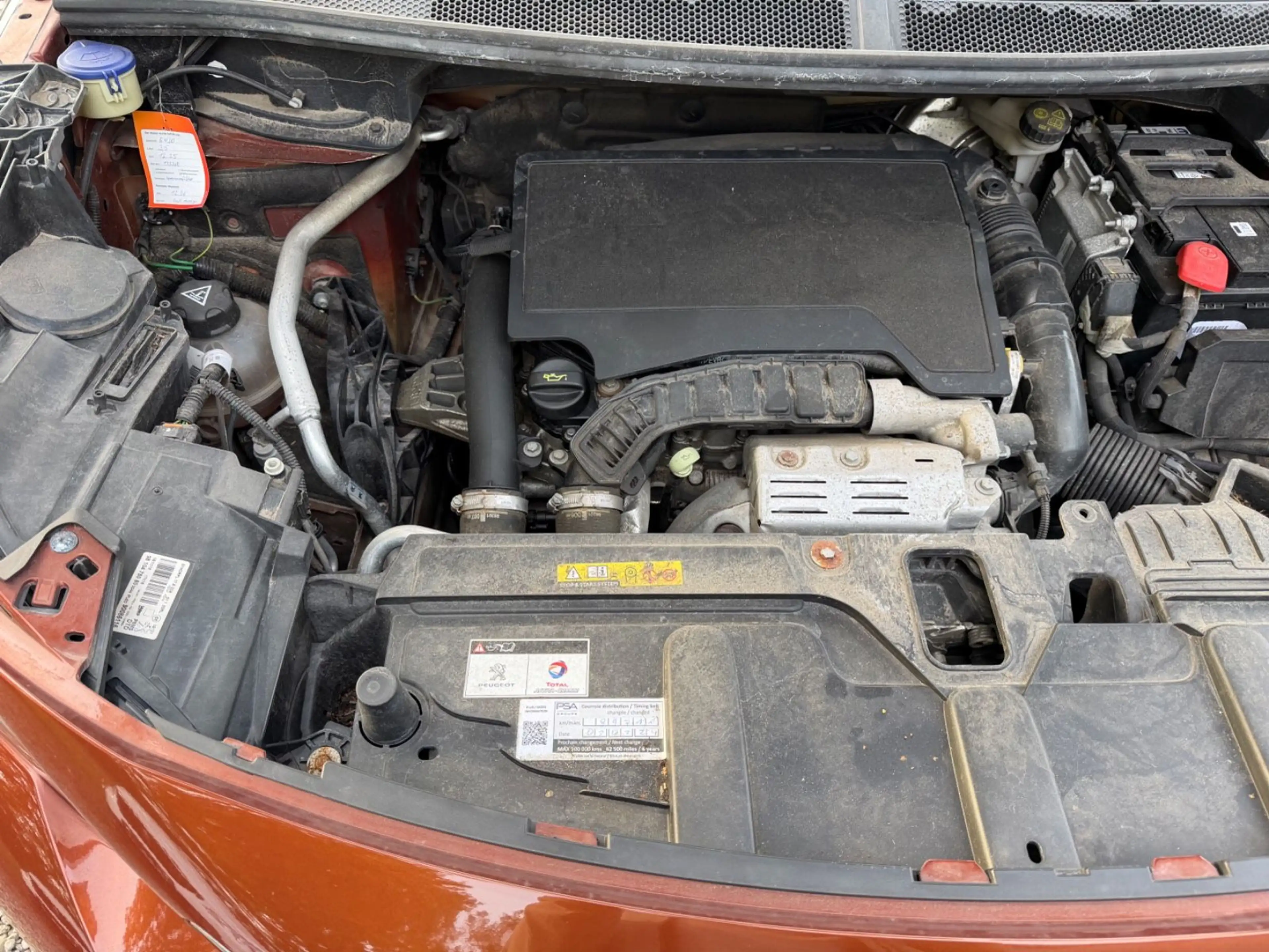 Peugeot 3008 Active — photo 14