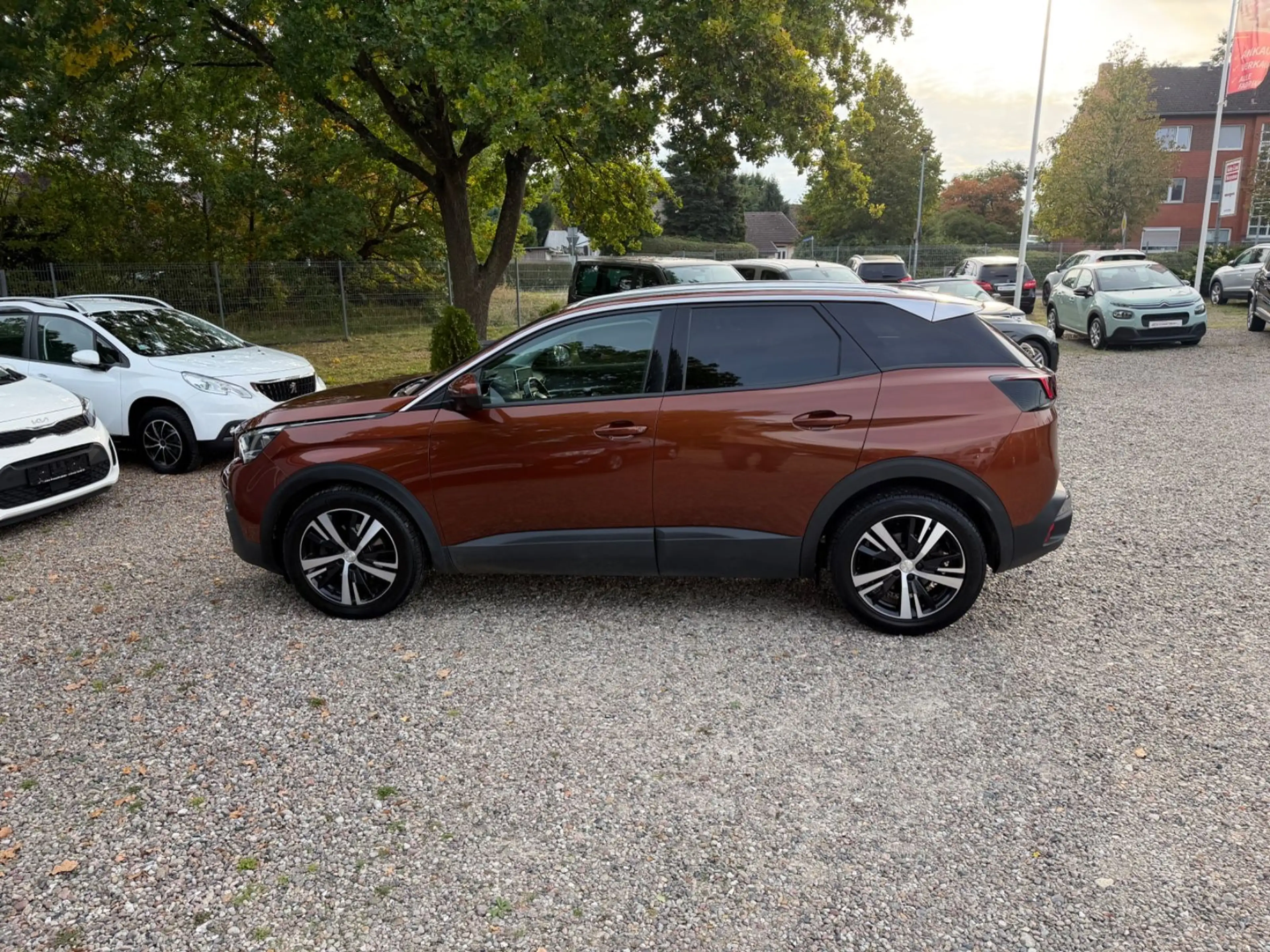 Peugeot 3008 Active — photo 5
