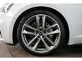 Audi A5 40 TDI sport S-Line LED+Navi+Leder+Virtual+19 Blanco - thumbnail 13