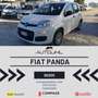 Fiat Panda Panda 1.2 Easy easypower Gpl 69cv Wit - thumbnail 1