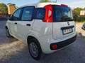 Fiat Panda Panda 1.2 Easy easypower Gpl 69cv Wit - thumbnail 7