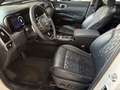 Kia Sorento 2.2 4WD Platinum Voll Leder 7 Sitzer "im Kundenauftrag" Weiß - thumbnail 6