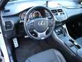 Lexus NX 300h "F-Sport"* *wenig Kilometer*1.Hand Alb - thumbnail 7