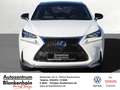 Lexus NX 300h "F-Sport"* *wenig Kilometer*1.Hand Alb - thumbnail 2