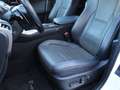 Lexus NX 300h "F-Sport"* *wenig Kilometer*1.Hand Alb - thumbnail 8