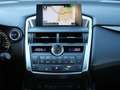 Lexus NX 300h "F-Sport"* *wenig Kilometer*1.Hand Weiß - thumbnail 15