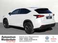 Lexus NX 300h "F-Sport"* *wenig Kilometer*1.Hand Alb - thumbnail 6