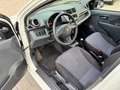 Suzuki Alto Club 1.0/KLIMA/RADIO/TÜV 12.2026/SERVICE NE Weiß - thumbnail 14