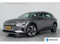 Audi e-tron 55 quattro Business edition 95 kWh | 20 inch | Sto Gris - thumbnail 1