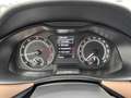 Skoda Kamiq Style 1.0 TSI G-TEC CNG Erdgas ACC Kamera SHZ ... Rot - thumbnail 9