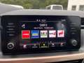 Skoda Kamiq Style 1.0 TSI G-TEC CNG Erdgas ACC Kamera SHZ ... Rot - thumbnail 11