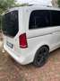 Mercedes-Benz V V 220 d Premium auto E6 Alb - thumbnail 7