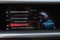Alfa Romeo Stelvio 2.2 190 CV AT8 Q4 SPRINT *BIANCO LUNARE* Blanc - thumbnail 30