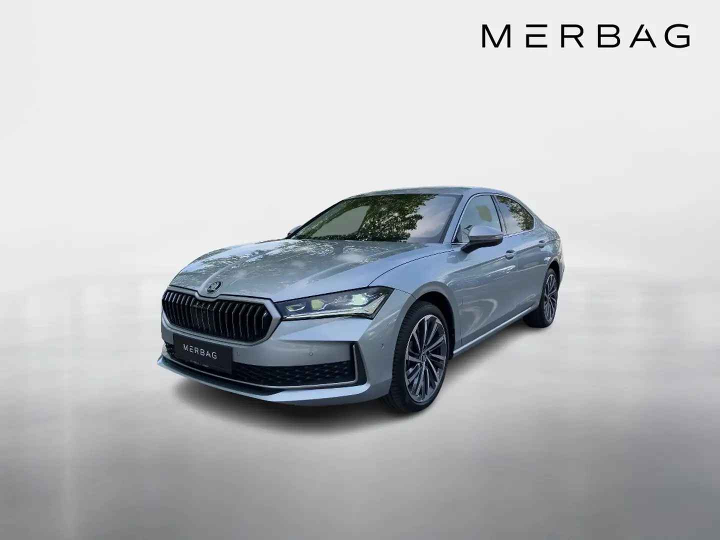 Skoda Superb 2,0 TDI Laurin & Klement 4x4 DSG Grau - 1