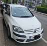 Volkswagen Golf Plus Golf Plus Trendline 1,9 TDI Trendline Weiß - thumbnail 1