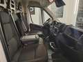 Fiat Ducato Ducato 33 2.2 Mjt 140CV PM-TM Furgone Bianco - thumbnail 11
