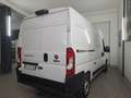 Fiat Ducato Ducato 33 2.2 Mjt 140CV PM-TM Furgone Bianco - thumbnail 12