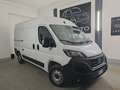 Fiat Ducato Ducato 33 2.2 Mjt 140CV PM-TM Furgone Bianco - thumbnail 1
