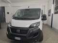 Fiat Ducato Ducato 33 2.2 Mjt 140CV PM-TM Furgone Bianco - thumbnail 15