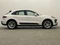 Porsche Macan *PDK*PSM*PDLS*RACE-TEX*KAM*SHZ*TEMP* Weiß - thumbnail 6