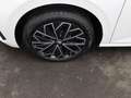 Skoda Scala Selection 1.0 TSI / Matix, RFK, SHZ, PDC Weiß - thumbnail 17