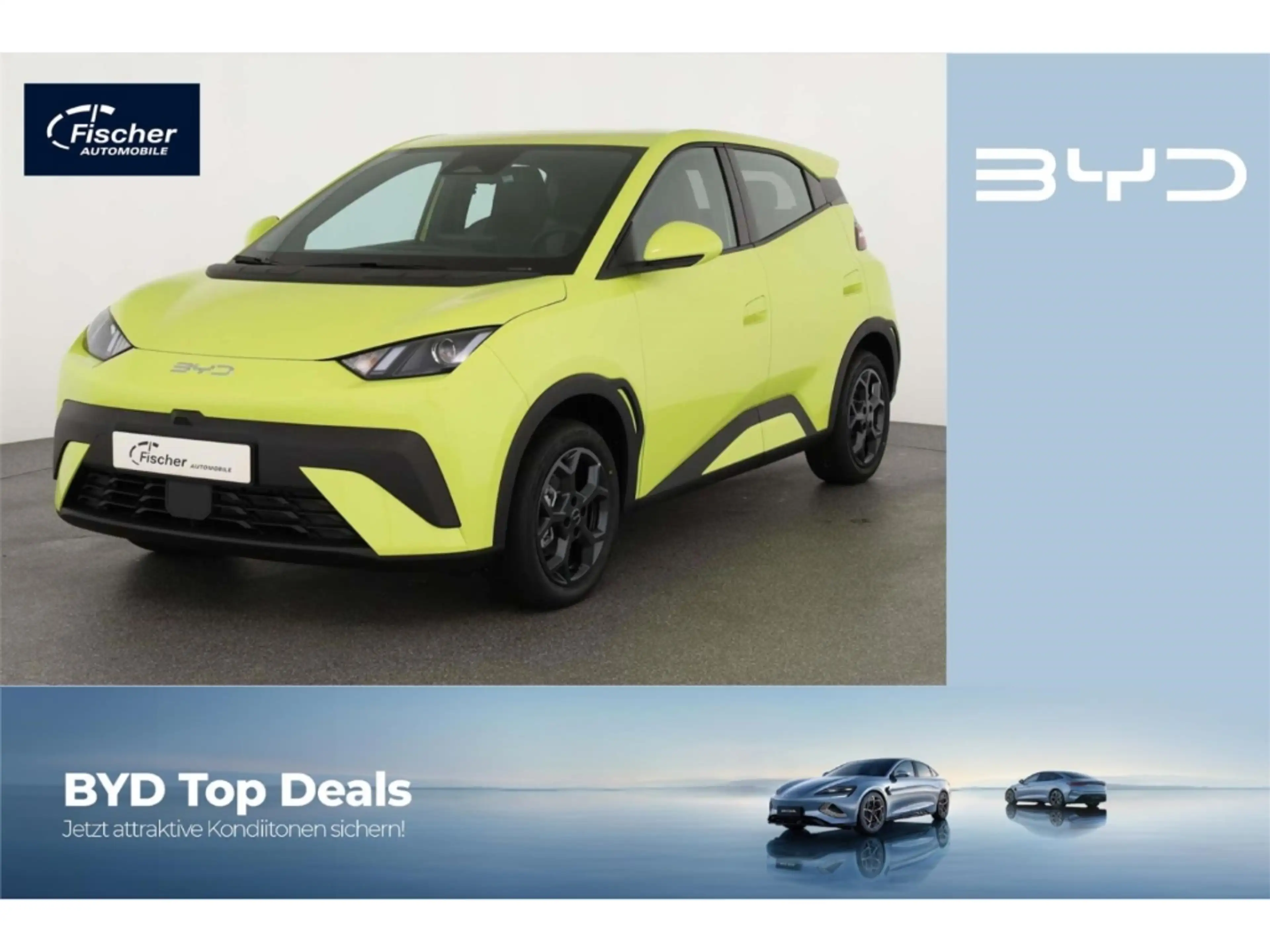BYD Dolphin Boost