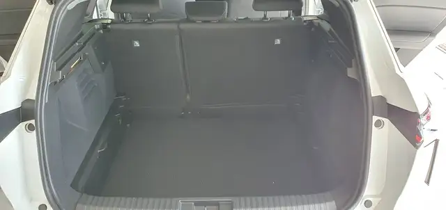 Mitsubishi Grandis view 13