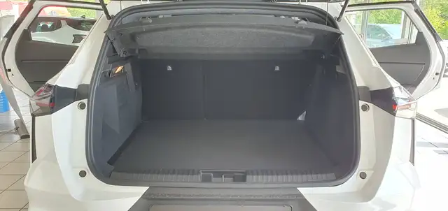 Mitsubishi Grandis view 11