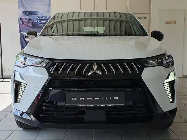 Mitsubishi Grandis view 3