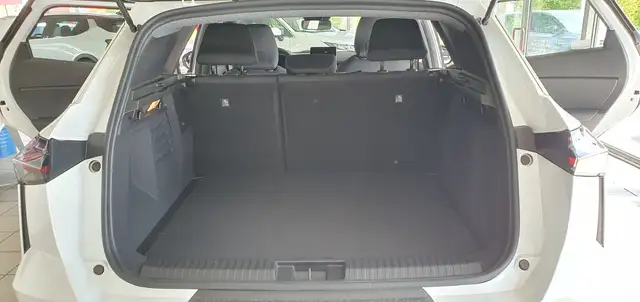 Mitsubishi Grandis view 12