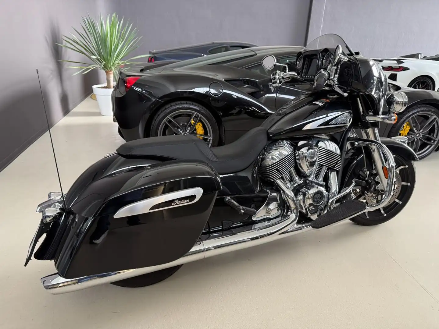 Indian Chieftain LIMITED Negro - 2