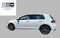 Volkswagen Golf 5p 1.6 tdi Sport Edition 110cv dsg - thumbnail 4