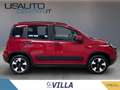 Fiat Panda 1.0 firefly hybrid s&s 70cv 5p.ti Rosso - thumbnail 3