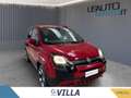 Fiat Panda 1.0 firefly hybrid s&s 70cv 5p.ti Rosso - thumbnail 2
