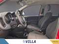 Fiat Panda 1.0 firefly hybrid s&s 70cv 5p.ti Rosso - thumbnail 13