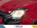 Fiat Panda 1.0 firefly hybrid s&s 70cv 5p.ti Rosso - thumbnail 6