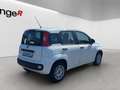 Fiat Panda 1,2 70 Easy *1. BESITZ* Weiß - thumbnail 6