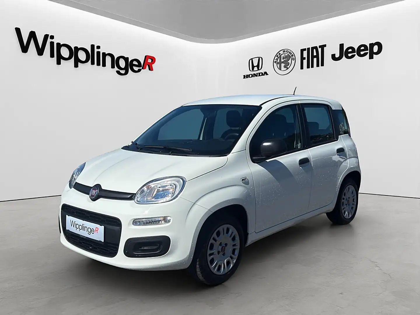 Fiat Panda 1,2 70 Easy *1. BESITZ* Weiß - 1