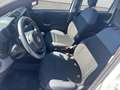 Fiat Panda 1,2 70 Easy *1. BESITZ* Weiß - thumbnail 9