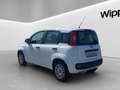 Fiat Panda 1,2 70 Easy *1. BESITZ* Weiß - thumbnail 4