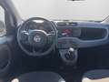 Fiat Panda 1,2 70 Easy *1. BESITZ* Weiß - thumbnail 10