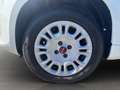 Fiat Panda 1,2 70 Easy *1. BESITZ* Weiß - thumbnail 8