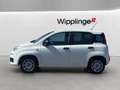 Fiat Panda 1,2 70 Easy *1. BESITZ* Weiß - thumbnail 3