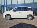 Fiat Panda FireFly Hybrid 70 Weiß - thumbnail 2