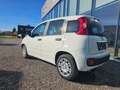 Fiat Panda FireFly Hybrid 70 Weiß - thumbnail 3