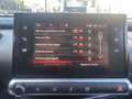 Citroen C4 Cactus BlueHDi 120 S&S EAT6 Shine Pack Grigio - thumbnail 10